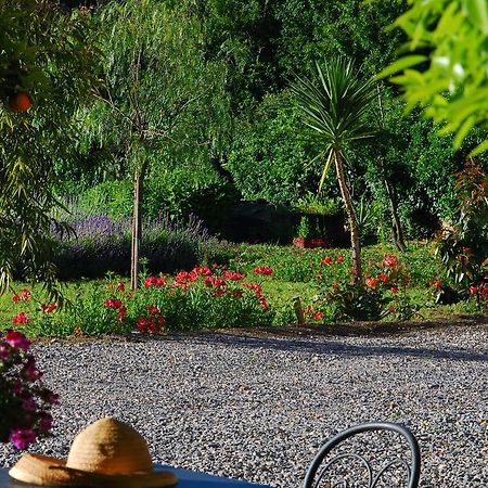 Agriturismo Coppi Rossi Torrazza  Экстерьер фото