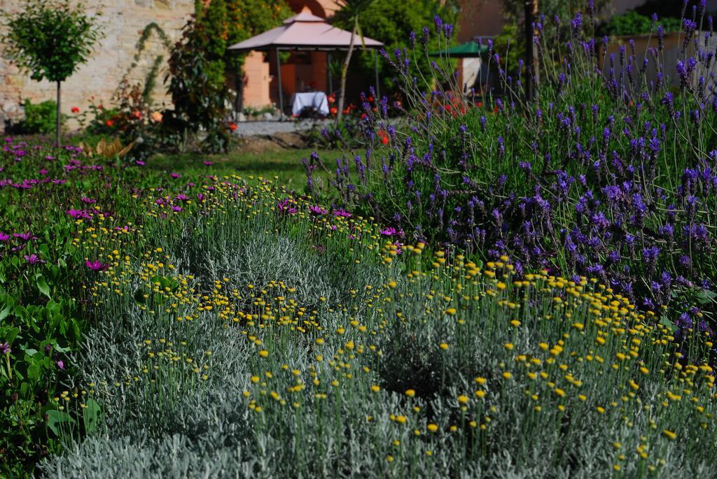 Agriturismo Coppi Rossi Torrazza  Экстерьер фото