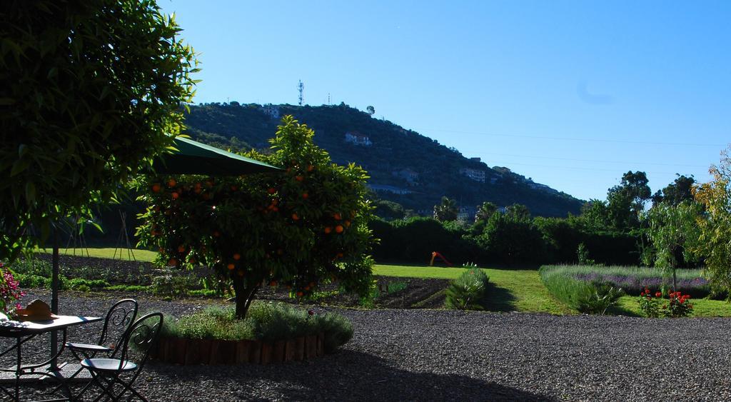 Вилла Agriturismo Coppi Rossi Torrazza  Экстерьер фото